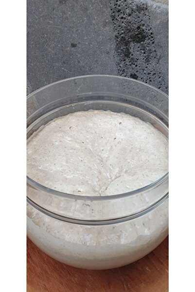 1881vakfikebir Ekşimaya 100g (44yıllık)