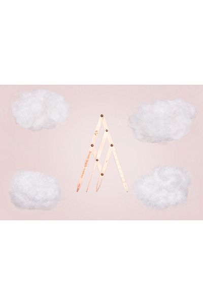 Beauty Angels Golden Ratio Ruler / Golden Ratio Compass