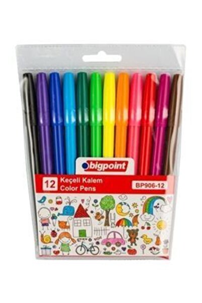 Bigpoint Felt Tip Pen Set of 12