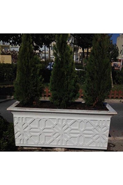 POLİA Dikdörtgen Saksı