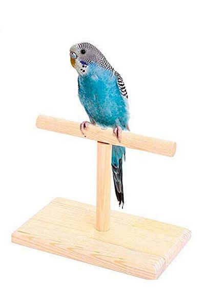 Alyones Bird Cage Stand Parrot Perch Training