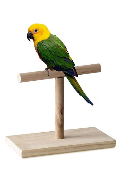 Alyones Wooden Bird Training Stand