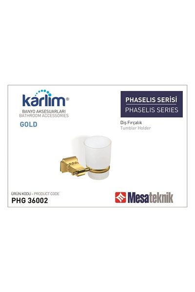 Mesateknik حامل فرشاة أسنان كارليم فيزيليس ذهبي (ذهبي) (phg36002)