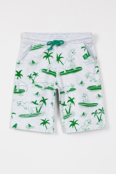 Krazber Kids Erkek Çocuk Gri Dinozor Baskılı Şort