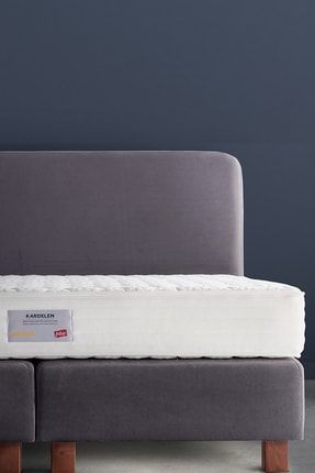 Isbir Yatak Kardelen Super Ergonomik Pu Lateksit Yatak Fiyati Yorumlari Trendyol
