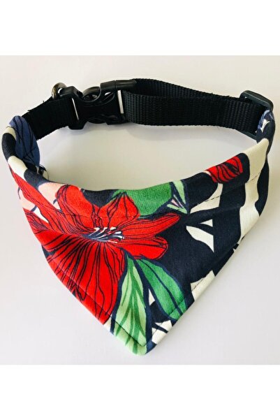 Kopek Tasmasi Modelleri Ve Fiyatlari Trendyol Sayfa 2