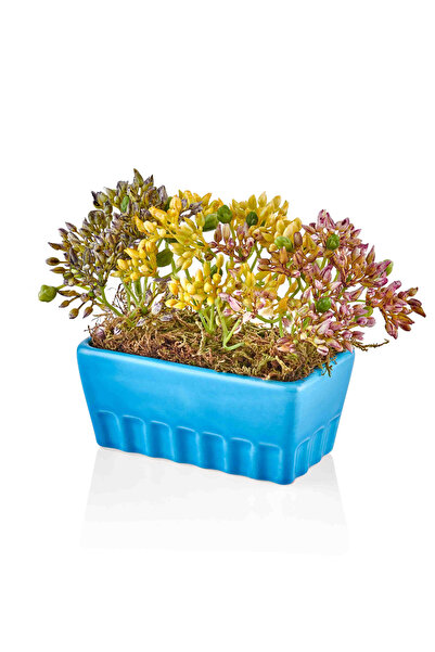 The Mia Fiorina Saksılı Çiçek Mavi CCK0025