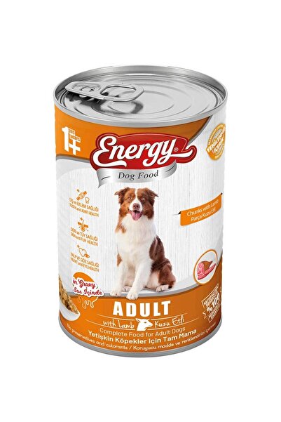 Energy 12 Adet Köpek Maması Islak 400 Gr Kuzu Etli