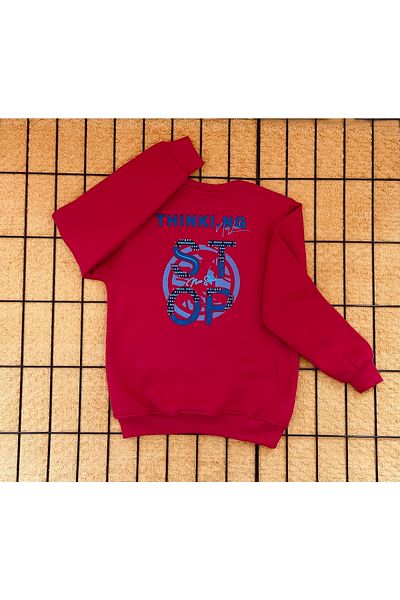 DG AURA 3 Thread Raised Thick Cotton Soft Stylish Sweatshirt (thick) Stop Printed