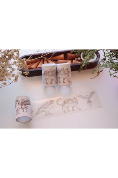 baddin aksesuar Fantastic 2Pcs Transparent Tape Sticker Journal Sticker
