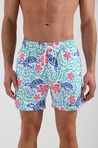 Whitefin Tortoise Sea Shorts
