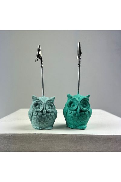 oasis decoration Owl Note Holder Set of 2 (ice Green - Mint)