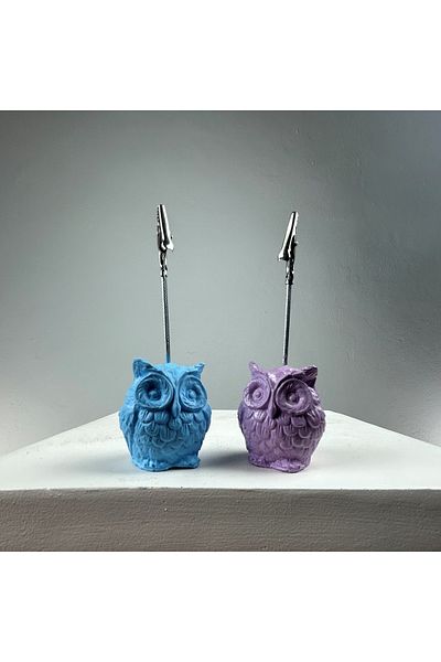 oasis decoration Owl Note Holder Set of 2 (lilac - Light Blue)