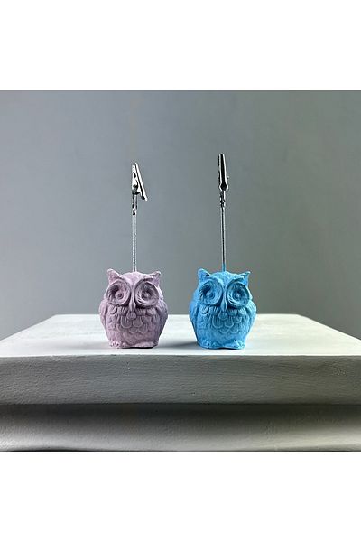oasis decoration Owl Note Holder Set of 2 (pink - Light Blue)