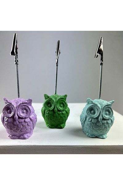 oasis decoration Owl Note Holder Set of 3 (green - Mint - Lilac)