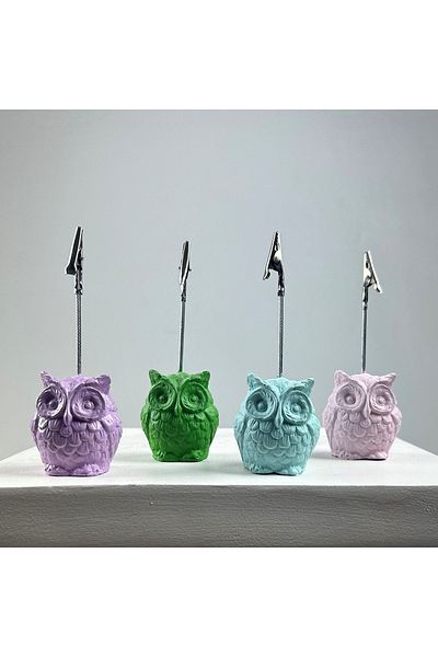 oasis decoration Owl Note Holder Set of 4 (ice Green - Pink - Mint - Green)