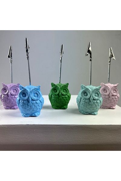 oasis decoration Owl Note Holder Set of 5 (Light Blue - Mint - Pink - Green - Lilac)