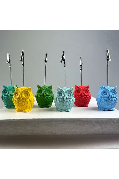 oasis decoration Owl Note Holder 6-Piece Note Holder Set (coral-mint-yellow-green-ice Green-light Blue)