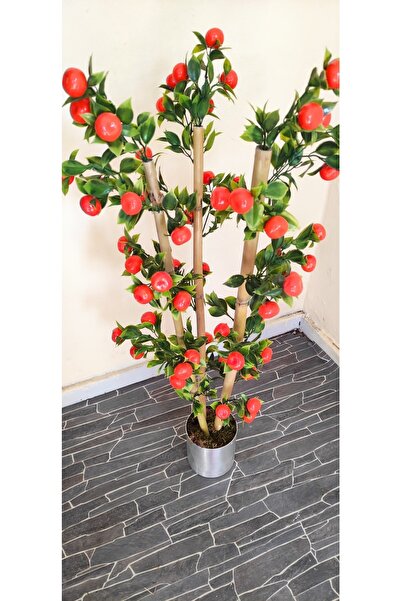 RUZGARCİCEK Rüzgar Çiçekcilik 1 Metre Mandalina Ağacı