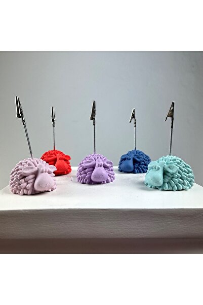 oasis decoration Kuzu Not Tutucu 5'li Set (mercan-gri Mavi-lila-nane - Pembe)