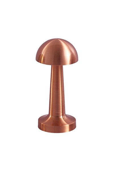 İnformed Usb Şarjlı Dokunmatik Rose Gold Masa Lambası Fl-8054 (3renk)