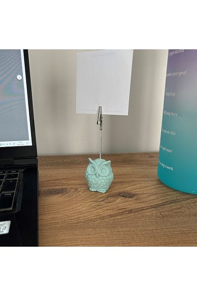 oasis decoration Mint Owl Note Holder