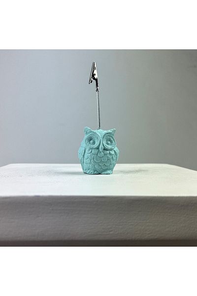 oasis decoration Mint Owl Note Holder