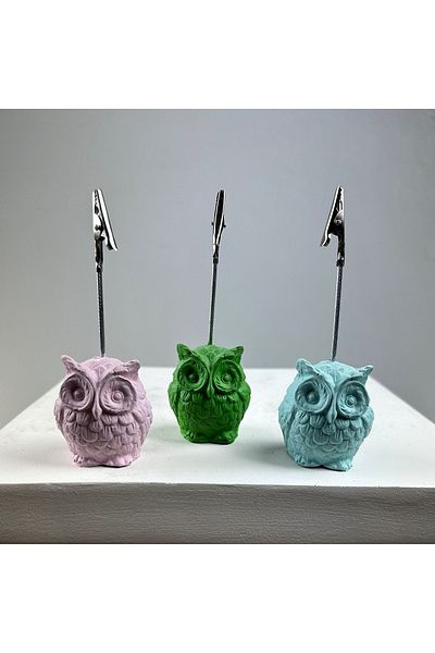 oasis decoration Owl Note Holder Set of 3 (pink - Mint - Green)