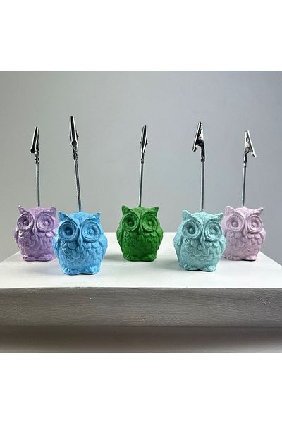 oasis decoration Owl Note Holder Set of 5 (Light Blue - Mint - Pink - Green - Lilac)