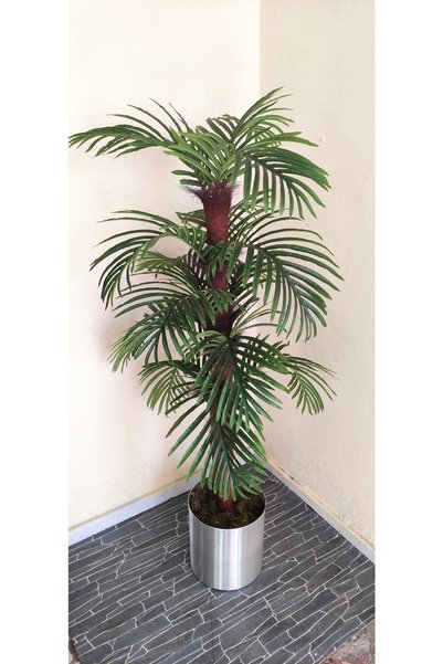 RUZGARCİCEK Rüzgar Çiçekçilik 150 Cm Palmiye Ağacı