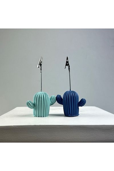 oasis decoration Cactus Note Holder Set of 2 (grey Blue-mint)