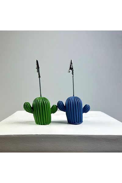 oasis decoration Cactus Note Holder Set of 2 (grey Blue- Green)