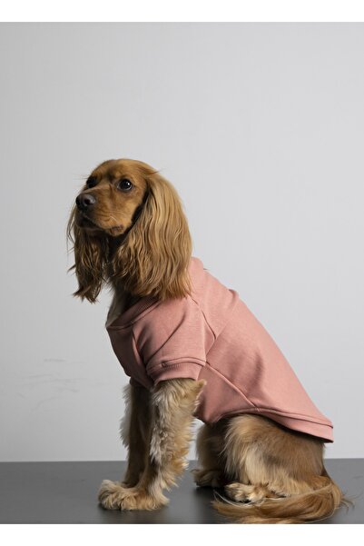 Sırt Nakış Işlemeli 3 Iplik Futter Örme Kumaş Köpek Sweatshirt