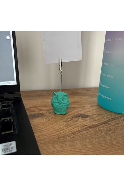 oasis decoration Ice Green Owl Note Holder