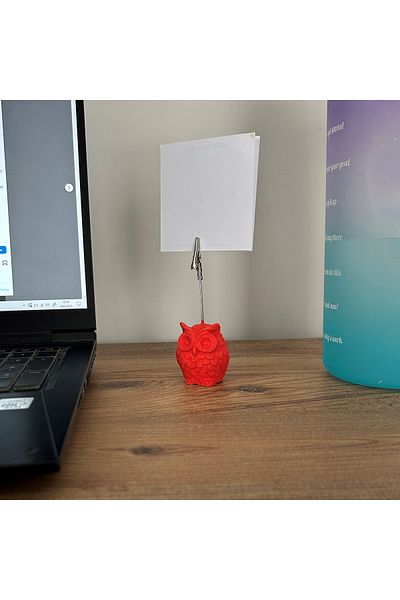 oasis decoration Coral Owl Note Holder