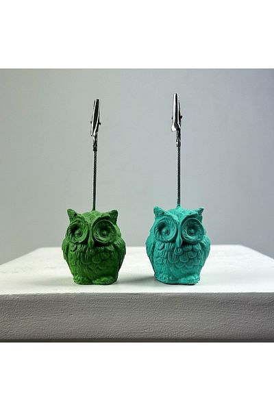 oasis decoration Owl Note Holder Set of 2 (green - Ice Green)
