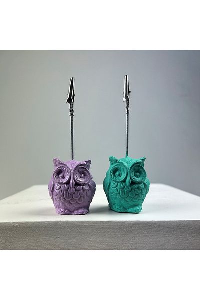 oasis decoration Owl Note Holder Set of 2 (ice Green - Lilac)
