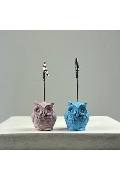 oasis decoration Owl Note Holder Set of 2 (pink - Light Blue)