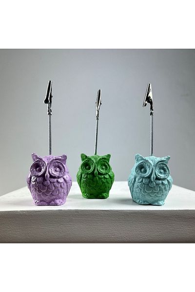 oasis decoration Owl Note Holder Set of 3 (green - Mint - Lilac)