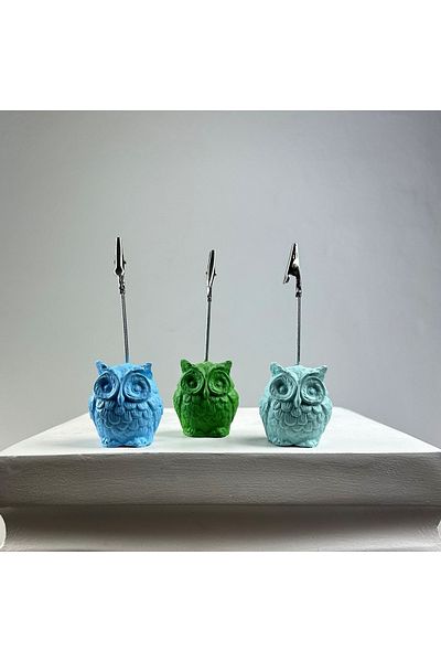 oasis decoration Owl Note Holder Set of 3 (green - Mint - Light Blue)
