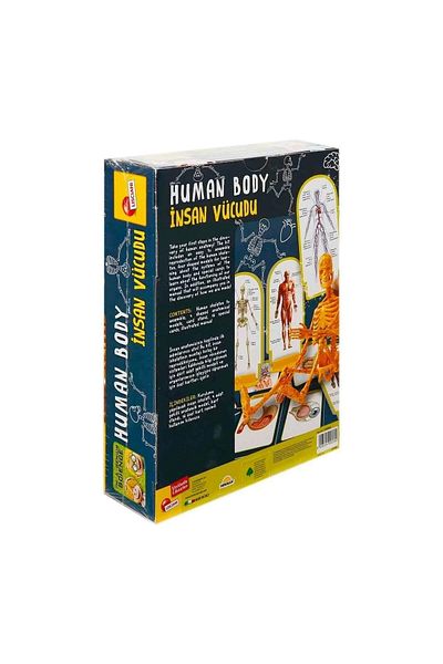 Sunman Human Body Human Body Science Kit Snm-48960
