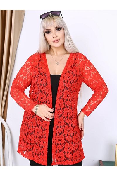ViolettaXL Women's Plus Size Lace Evening Dress Ceke