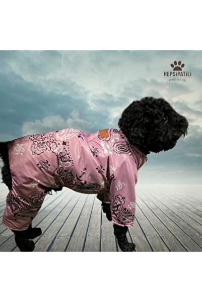 Alphadog Shawl Köpek Tulumu