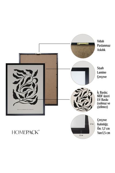 HOMEPACK Siyah Çerçeveli 4'lü Tablo Seti D-009