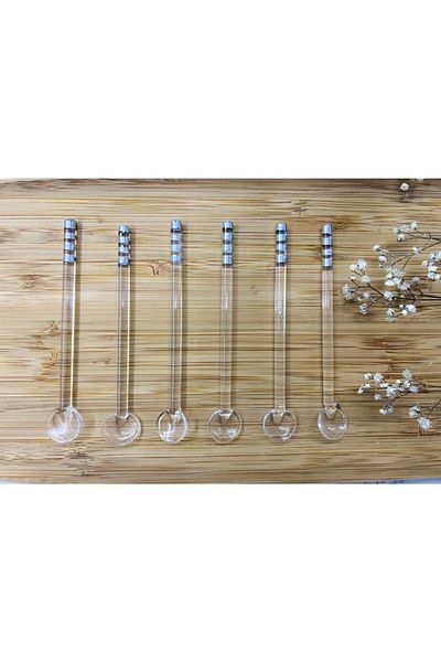 Tuna 6-Piece Luxury Gray Detailed Glass Teaspoon Set with Handle