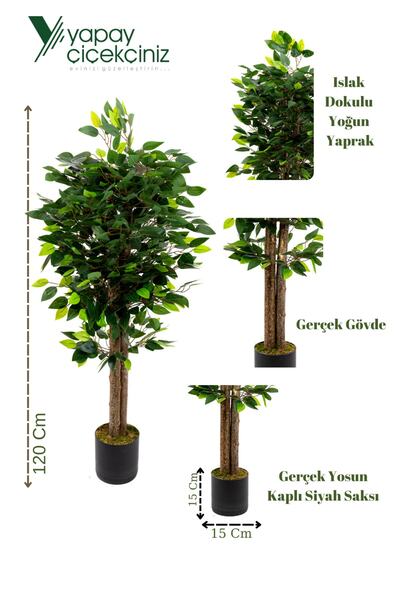 YAPAY ÇİÇEKÇİNİZ 120 Cm Benjamin Ağacı