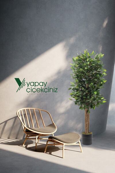 YAPAY ÇİÇEKÇİNİZ Çiçekçiniz Siyah Saksıda Yoğun Yapraklı 150cm Yapay Benjamin Ağacı
