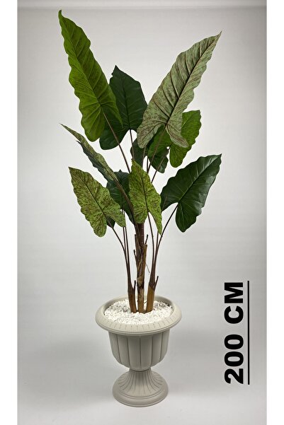 BİÇİÇEK Yapay Ağaç Starliçe Kahverengi Difenbahya Bambu Gövdeli 240cm Büyük Boy Kırıkbeyaz Renk Nergis Saksı