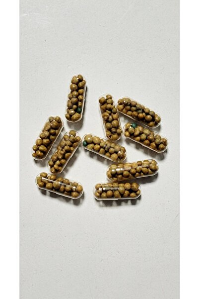 ARMATÜRK Akvaryum Bitkileri Için Taban Gübre, Kapsül Gübre 20 Adet