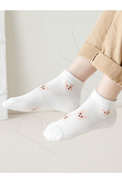 BGK Socken - Mehrfarbig - 5 St